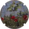 Capsule GENERIQUE. Dans les vignes, Coquelicots