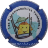 Capsule Moutaux Placomusophile Talangeois