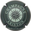Capsule Ariston Centre vert pâle, contour vert foncé