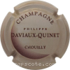 Capsule Daviaux-Quinet Philippe Gris et marron