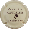 Capsule De Sousa b- Crème et marron