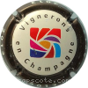 Capsule Vigneron indépendant Contour marron, 2013