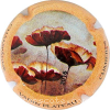 Capsule Vadin-Plateau 2016, contour abricot