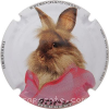 Capsule Herbert Didier  2- Lapin