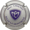 Capsule Chauvet Marc Argent et violet