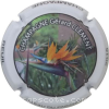 Capsule Clément Gérard 2015 - Oiseaux du Paradis