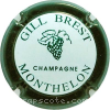 Capsule Brest Gill Contour vert foncé, fond pastel
