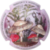 Capsule Delabruyere B.  Contour rose pâle