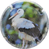 Capsule Fay Michel Cigogne