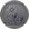Capsule Baron Dauvergne Gris
