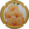 Capsule Champion-Ouy Orchidée jaune, Polychrome