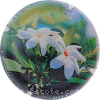 Capsule Pillot Christian Fleurs blanches