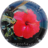 Capsule Pillot Christian Lys rouge