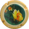 Capsule Vallade et Filles Narcisse jaune, contour crème