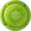 Capsule Hatte Ludovic  Vert fluo et blanc