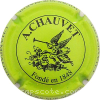Capsule Chauvet Aug. Vert fluo et noir