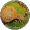 Capsule Sampers Claude Escargot