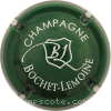 Capsule Bochet-Lemoine Vert et blanc