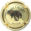 Capsule Callot Pierre Or et noir