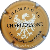 Capsule Charlemagne Guy Marron clair, noir et blanc