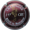 Capsule Rilly la Montagne Bordeaux et blanc, angelot or