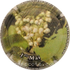 Capsule Robinard Marsault Muguet