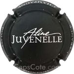 Capsule Juvenelle Aline Noir et argent, mat
