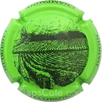 Capsule Cheurlin-Dangin e- Vigne, Vert pomme et marron