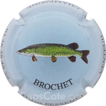 Capsule Pessenet Didier Brochet