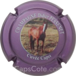 Capsule Pessenet Didier Capri, contour mauve métallisé