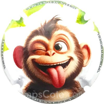 Capsule Pessenet Didier b- Singe
