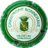 Capsule Bonnerave Contour vert