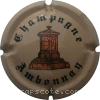 Capsule Ambonnay  2 - Crème et or-orangé
