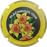 Capsule Smej-Vely 2024, Contour jaune
