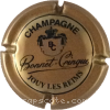 Capsule Bonnet Crinque  4 - Or pâle et noir