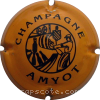 Capsule Amyot  2 - Jaune et noir 