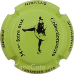 Capsule Pienne Sylvain 2015, Vert pâle et noir