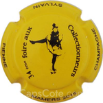 Capsule Pienne Sylvain 2015, Jaune et noir