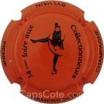 Capsule Pienne Sylvain 2015, Orange et noir