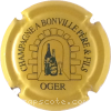 Capsule Bonville A. Jaune et vert