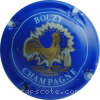 Capsule Bouzy Bleu