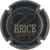 Capsule Brice Vert foncé