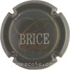 Capsule Brice Gris