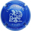 Capsule Bricout Bleu et blanc