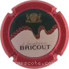 Capsule Bricout Polychrome