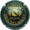 Capsule Brochet Dolet Vert foncé, lettres épaisses