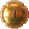 Capsule Brochet Hervieux 4 - T (or et noir)