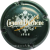 Capsule Canard-Duchene Vert bouteille