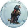 Capsule Martin Glod Rapace 2 Aigle bateleur