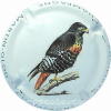 Capsule Martin Glod Rapace 3 Buse des augures